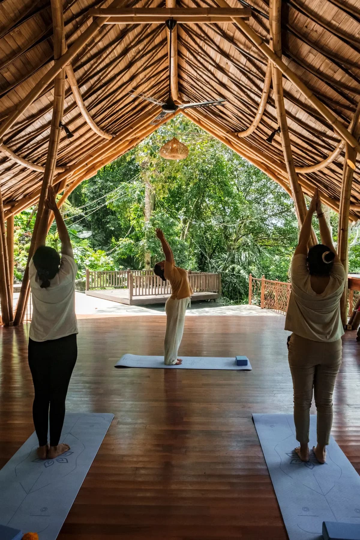 yoga-shala